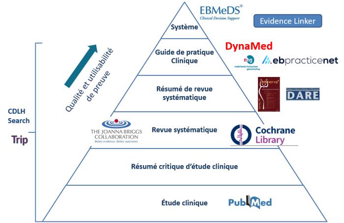 pyramide des connaissances